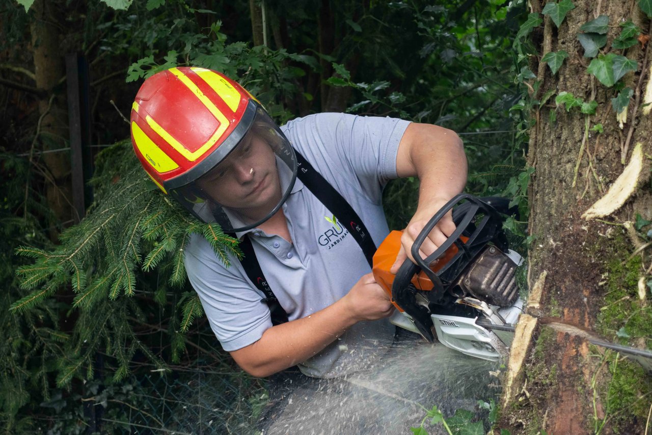 Background Jardinage Grün