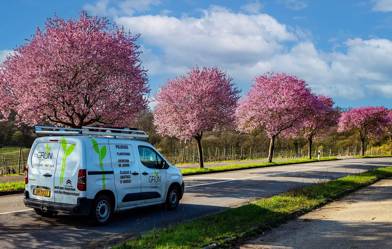 Jardinage Grün Camionette