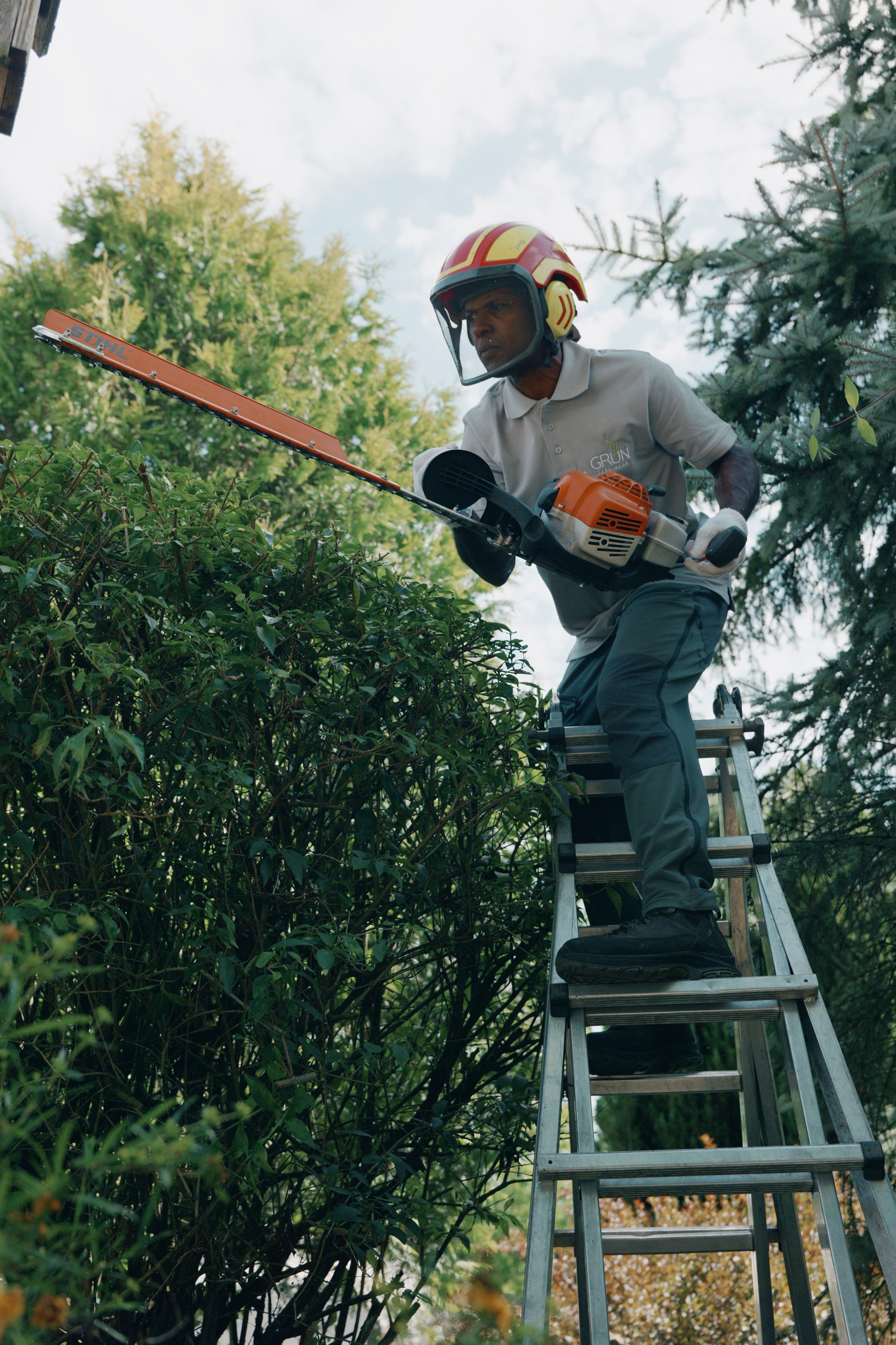 Entretien Jardinage Grün